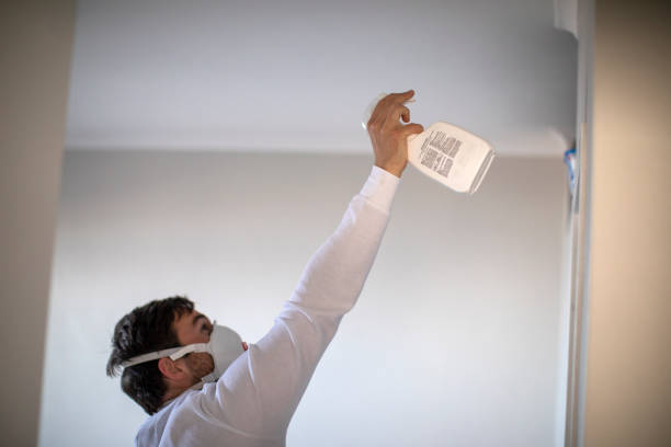 Best Home Mold Removal  in Juneau, AK