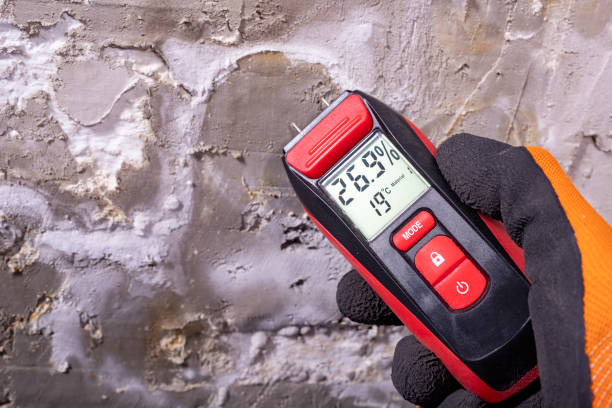 Best Mold Damage Repair  in Juneau, AK