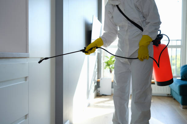 Best Mold Cleaning Services  in Juneau, AK